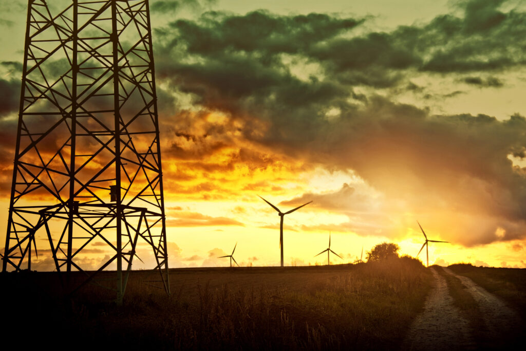 Copy of windmills field